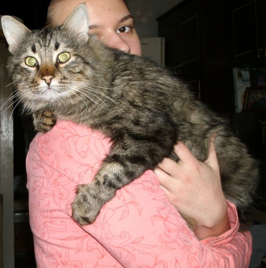 GEDC0352 - копия