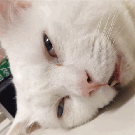 1416121899_842069833