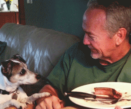 Чей кусочек?