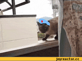 D0B3D0B8D184D0BAD0B8D0BAD0BED182D183D0B4D0B0D0BBD191D0BDD0BDD0BED0B5560244