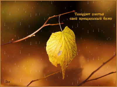 Игорь Крутой Осенняя соната