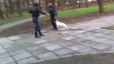 С псом можно не бояться драки