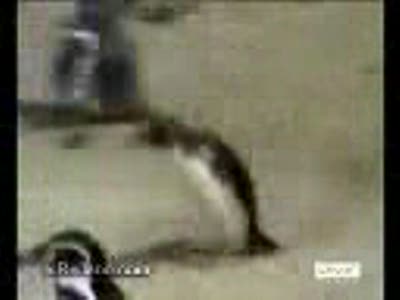 с работы и на работу