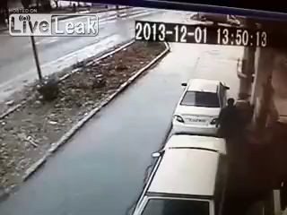 Скотина на машине