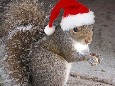 со старым Новым годом (Одесский юмор)