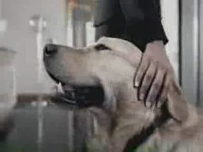 Просто неудачница