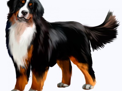 Скоро Осень !!!