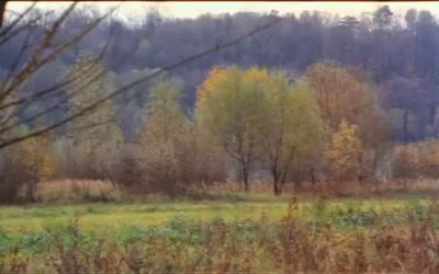 ДМБ. Видишь суслика?