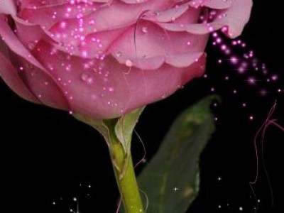 ВЕРЬ в ЧУДЕСА....