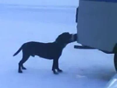 токсикоман