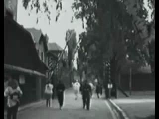 Крупная афера и развод лохов