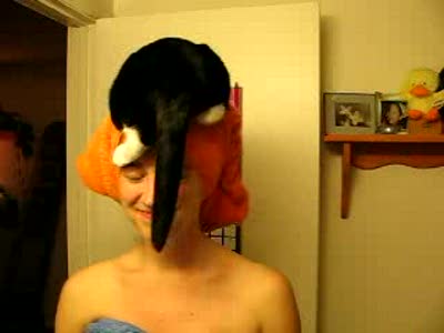 отличное место для кота