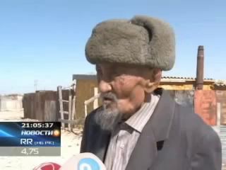 В Мангистауской области разъярённый верблюд убил 72-летнюю старушку