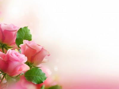 ДЛЯ ВАС ДРУЗЬЯ