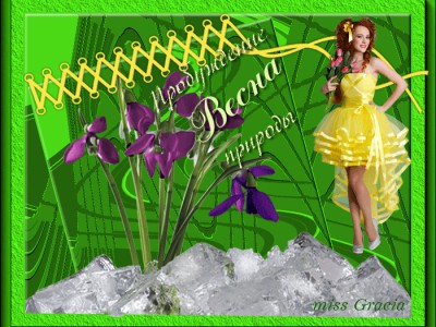 Цветут подснежники в саду