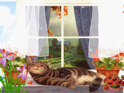 С  Добрым  Днем