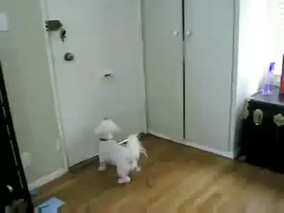 Кагда уже письмо придёт?