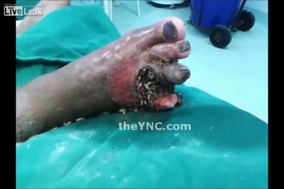 Кореш для рыбалки