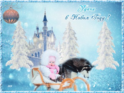 Удачи в Новом Году !
