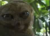 Ждем зарплаты ))