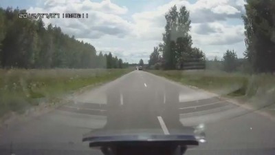 дикий хач на газеле.wmv