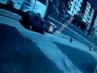 Собака подвела под монастырь