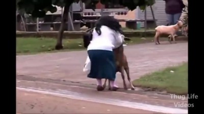 Из жизни головорезов