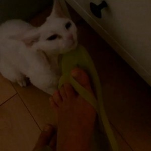 Тапашки... Ох как же я люблю тапашки