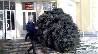 Таганрог занос елки