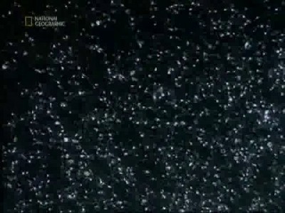 500 миллионов сперматозоидов