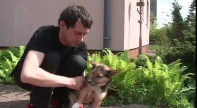 Не унывай Спанчуха!