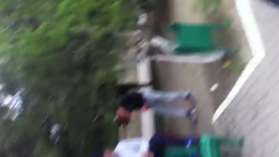 Обезьянки в парке