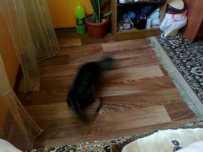 Красная точка