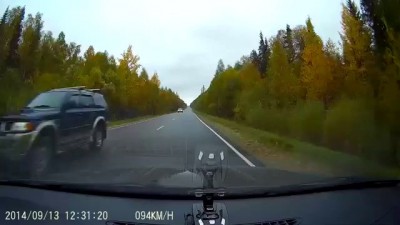 очередной олень-летчег.