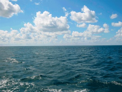 У синего моря...