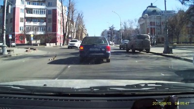 Бедный котик ...