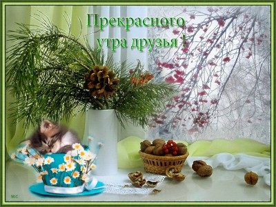 Доброе утро друзья !
