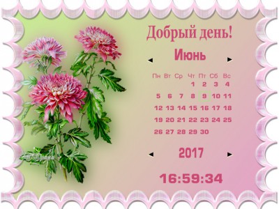 17хризантемы