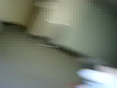 Умная собачка