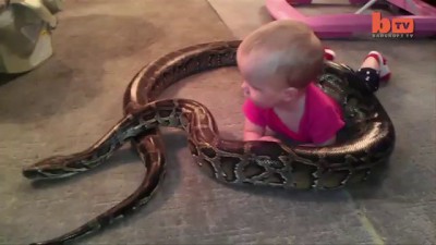 видео годовалого ребенка, которая играла с 4-метровым питоном