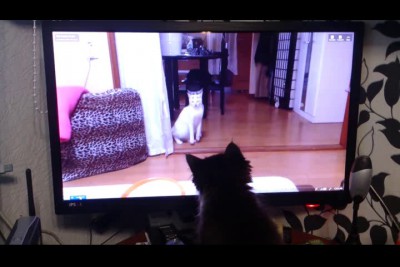 фрося смотрит куб