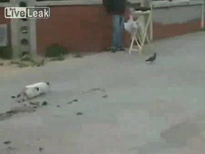 Я в полном расстройстве