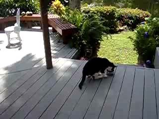 Наглость - второе счастье!