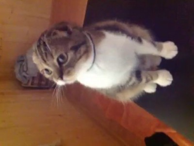 Мнение эксперта "Гайка" о ситуации в городе Белгород