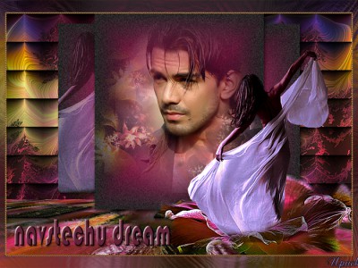 Навстречу мечте