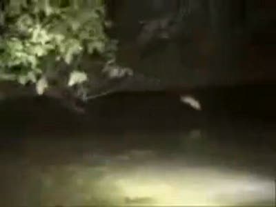 Рыбалка на Амазонке