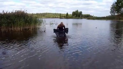 Белый амур на 27 кг 600 гр.