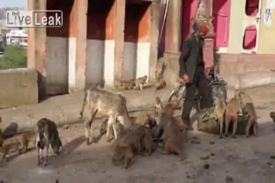 Там своя атмосфера)))