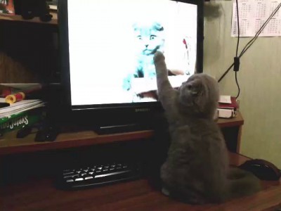 Тема и монитор