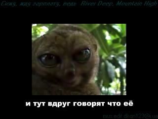 Сижу жду зарплату, как Deep Purple